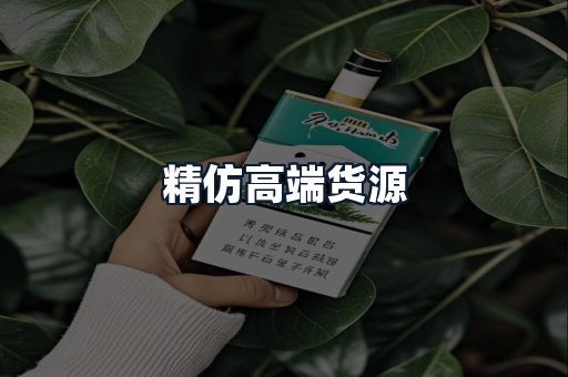 精仿高端货源