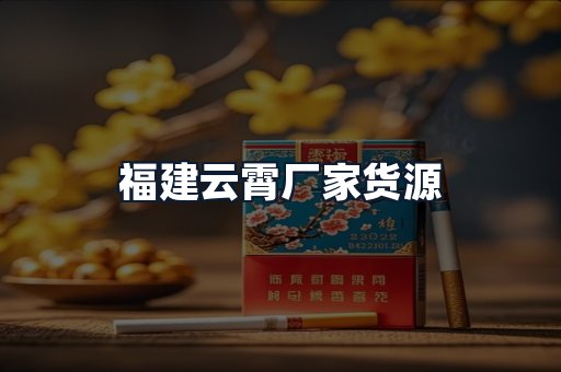 福建云霄厂家货源